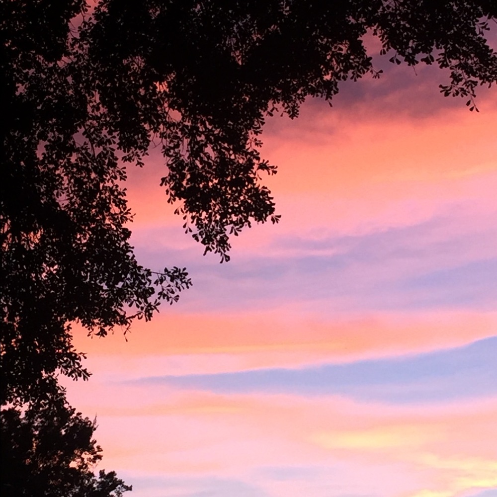 Meet your Posher, Britlee